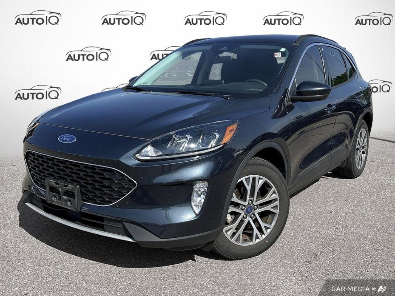 Used 2022 Ford Escape SEL Hybrid for sale in Oakville, ON