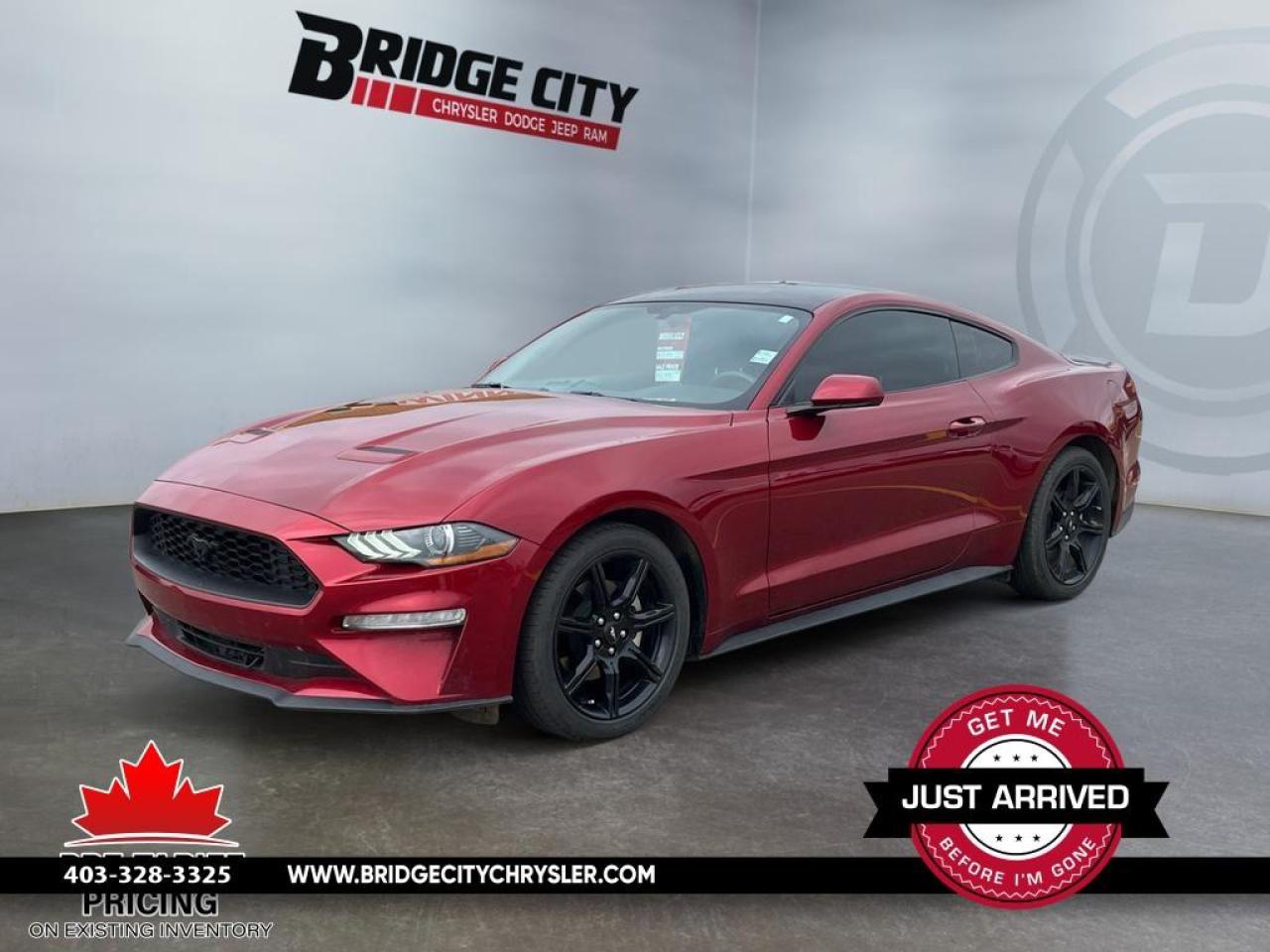 Used 2019 Ford Mustang Automatic - Black Accent Pkg - 19 Wheels - Navigation - Spoiler - LED Lights - Local Trade for sale in Lethbridge, AB