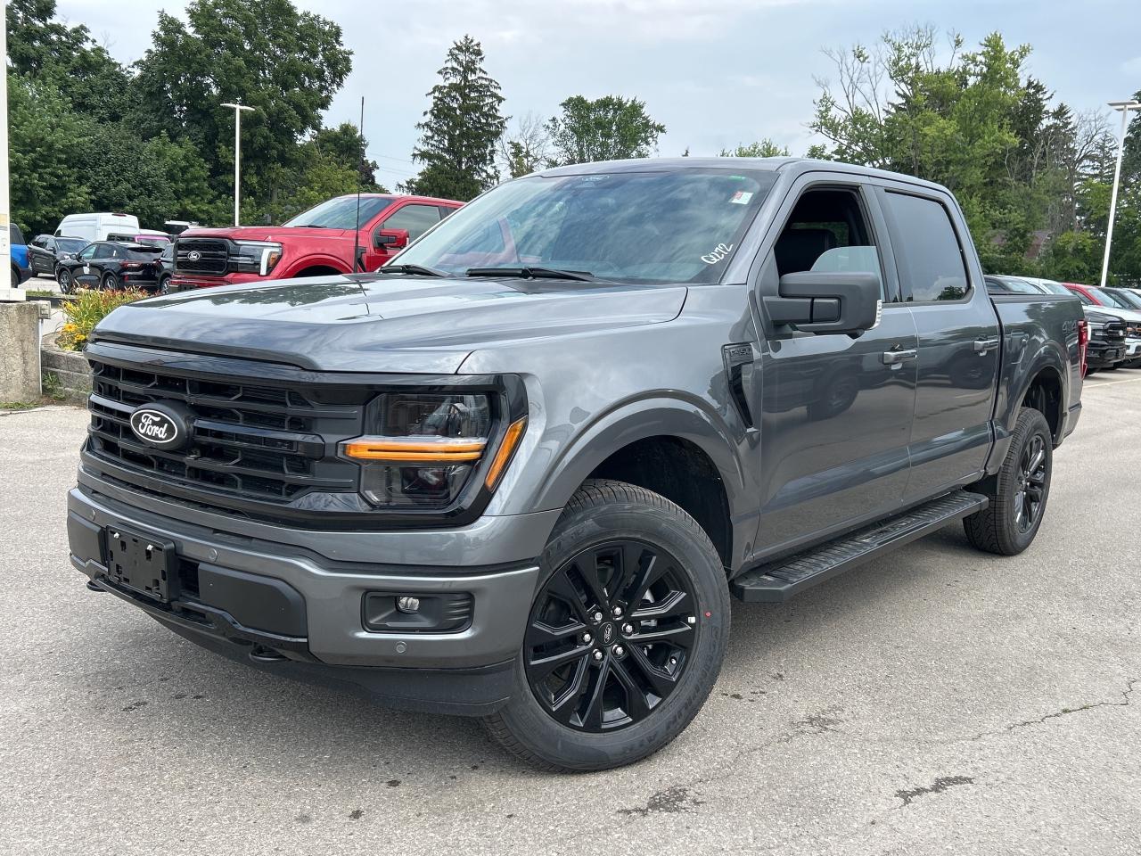 New 2025 Ford F-150 XLT  - Sunroof for sale in Caledonia, ON