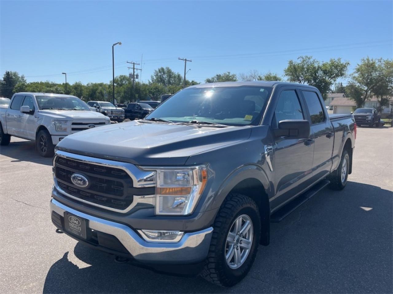 2021 Ford F-150  Photo4