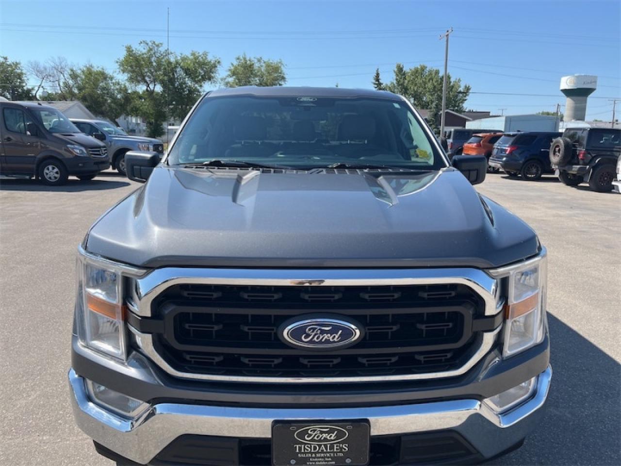 2021 Ford F-150  Photo