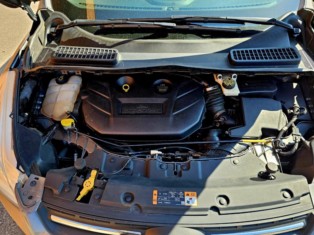 2014 Ford Escape FWD 4dr SE - Photo #15