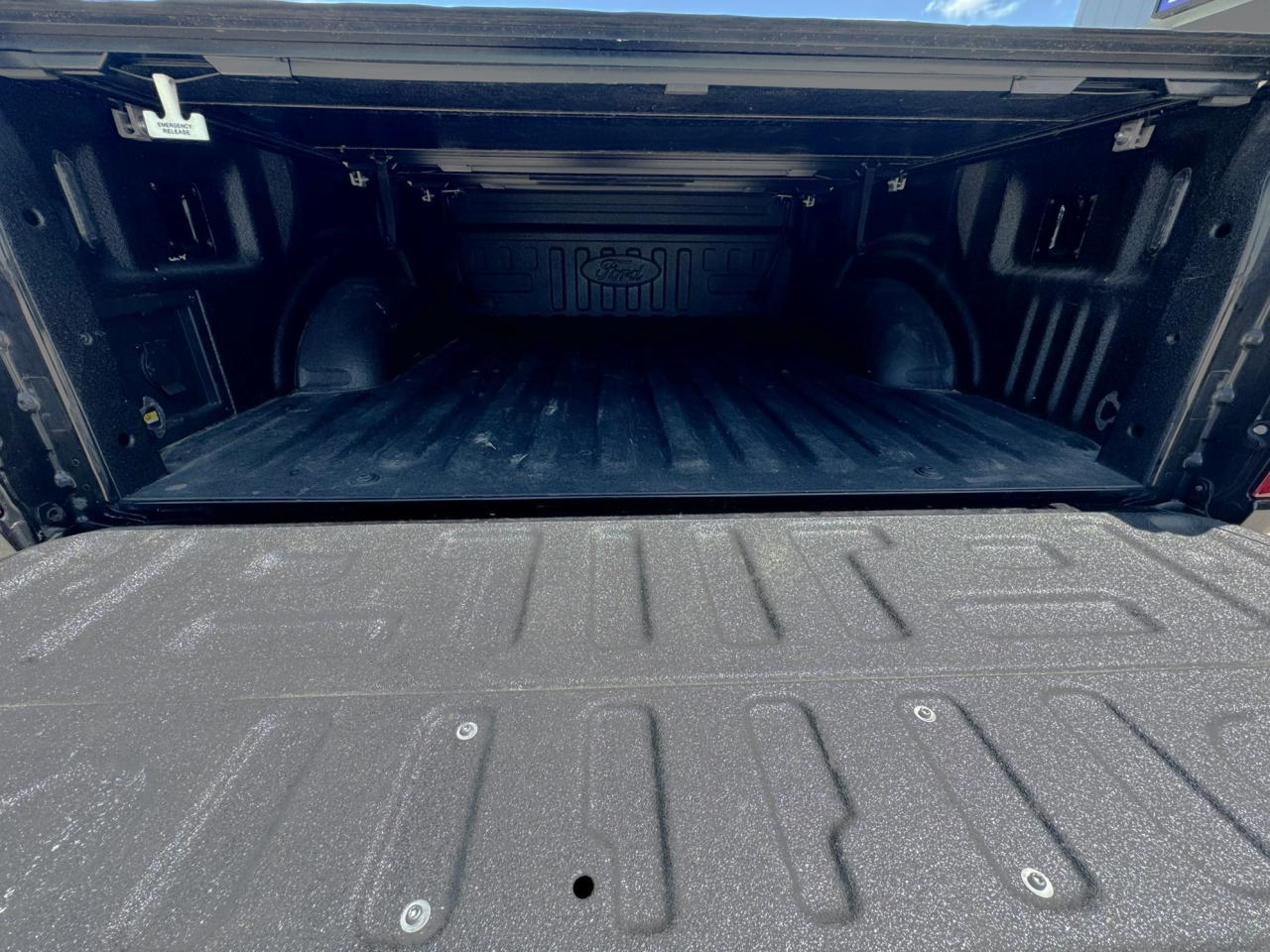 2021 Ford F-150 Lariat 4WD SuperCrew 6.5' Box Photo