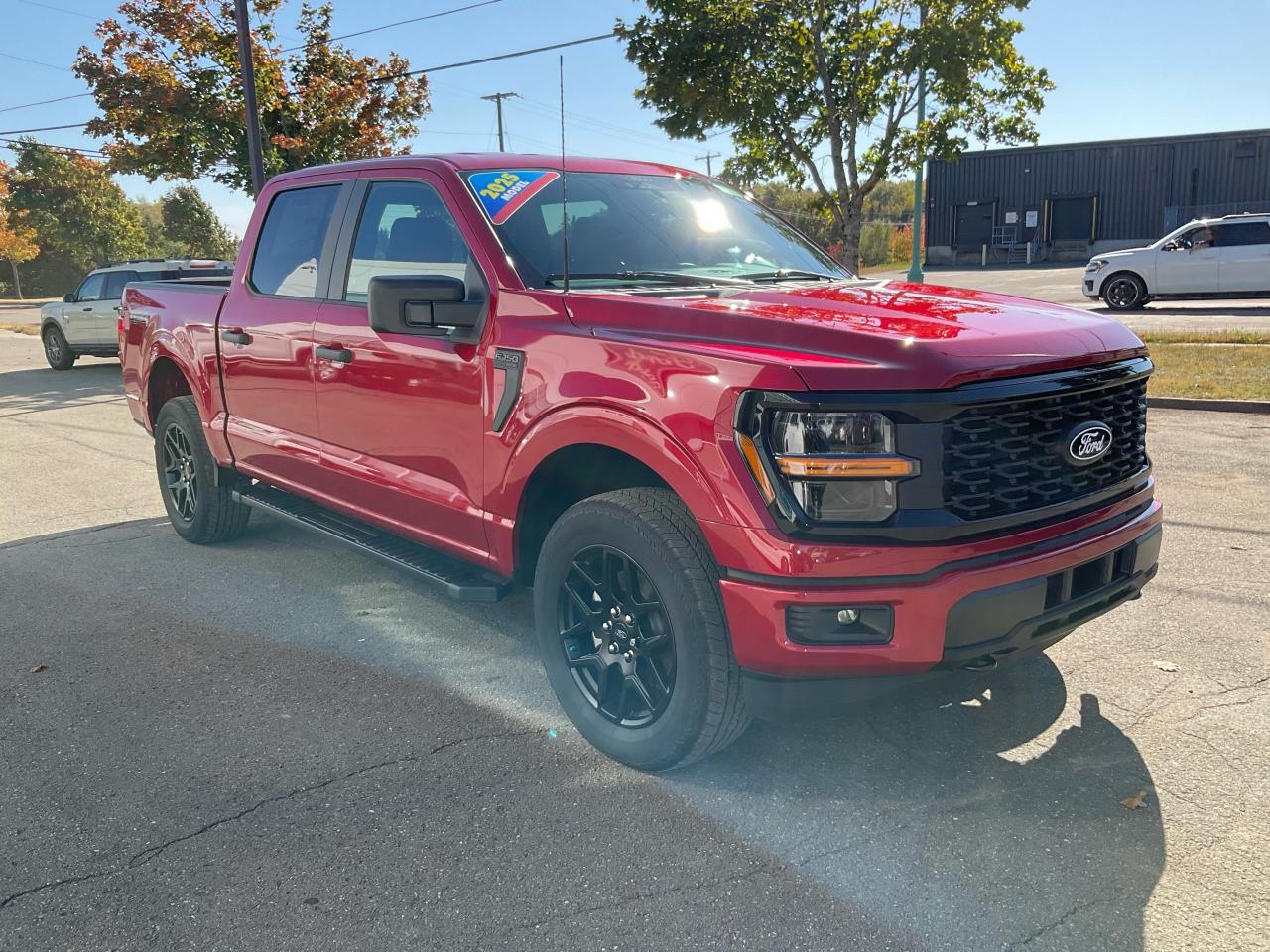 2025 Ford F-150 STX Photo