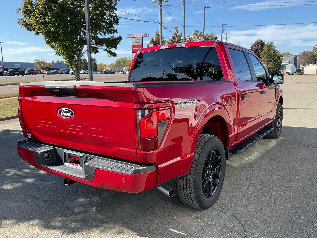 2025 Ford F-150 STX Photo5