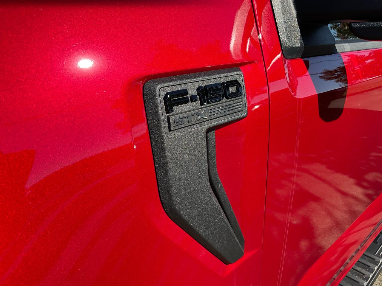 2025 Ford F-150 STX Photo5