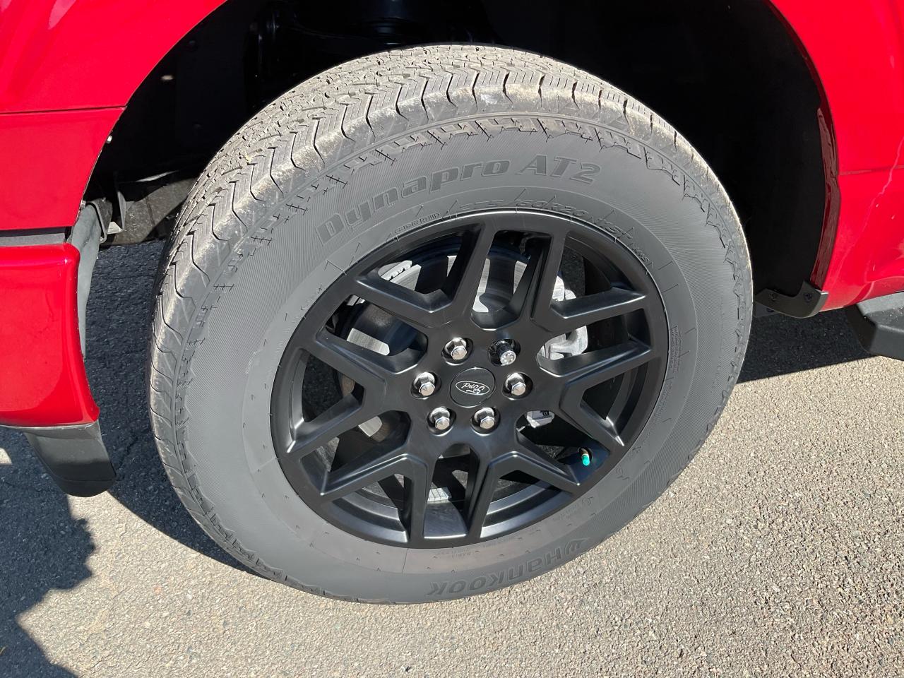 2025 Ford F-150 STX Photo5