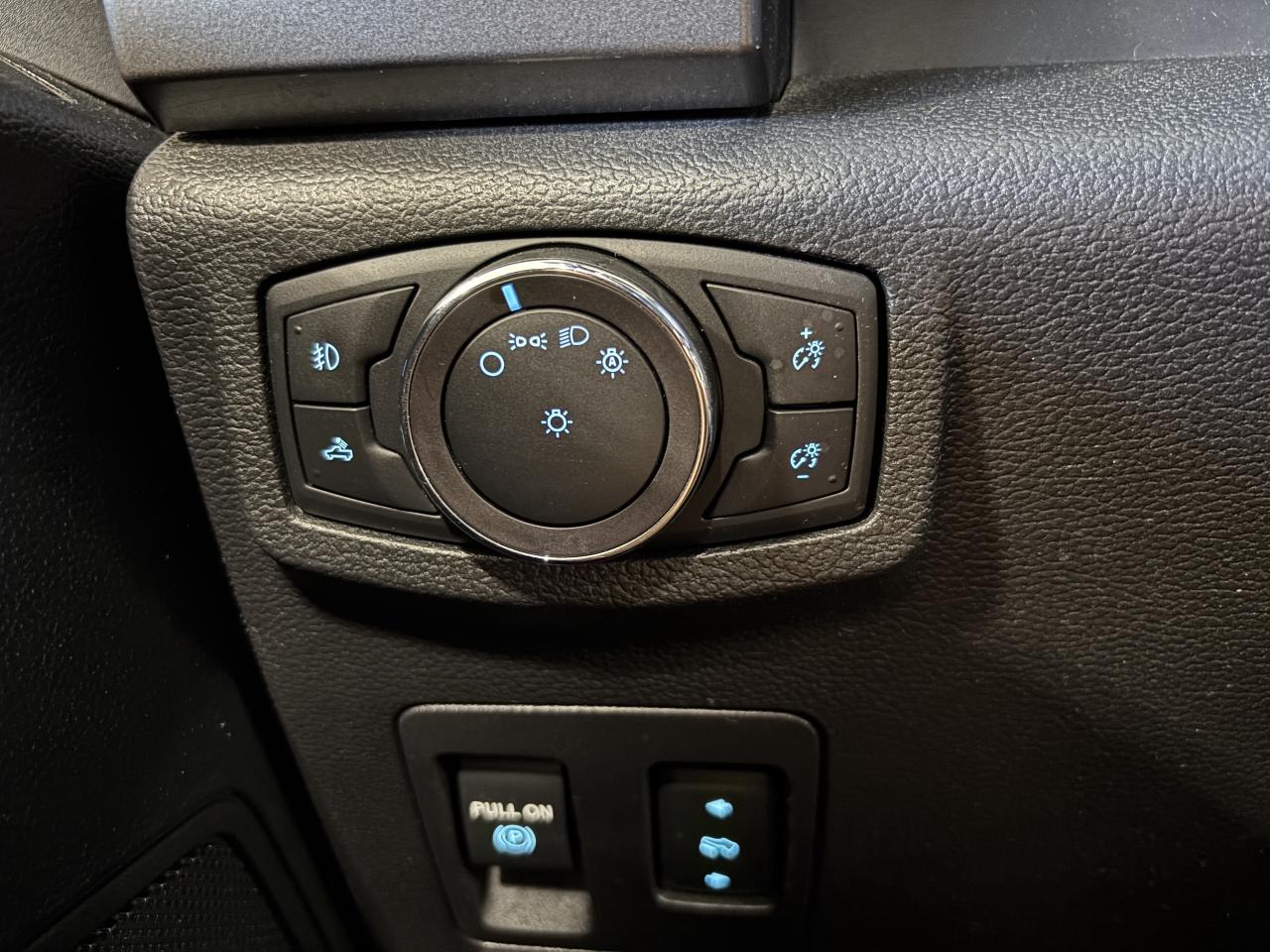 2020 Ford F-150 XLT 4WD|ECOBOOST|SUPERCREW|SIRIUSXM|BEDLINER|CAM|+ - Photo #15