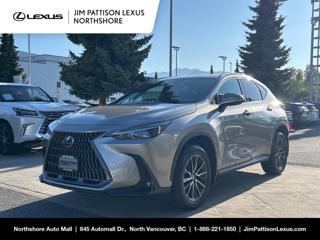 Used 2024 Lexus NX NX 350h / Hybrid Drive / No Accident / Local Car for sale in North Vancouver, BC