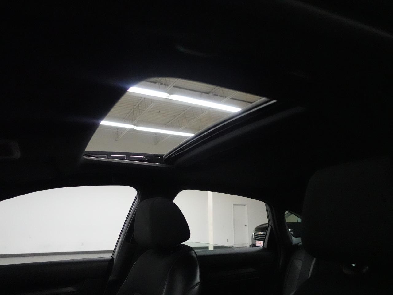 2024 Honda Civic SPORT | Sunroof | LaneWatch | ACC | CarPlay Photo