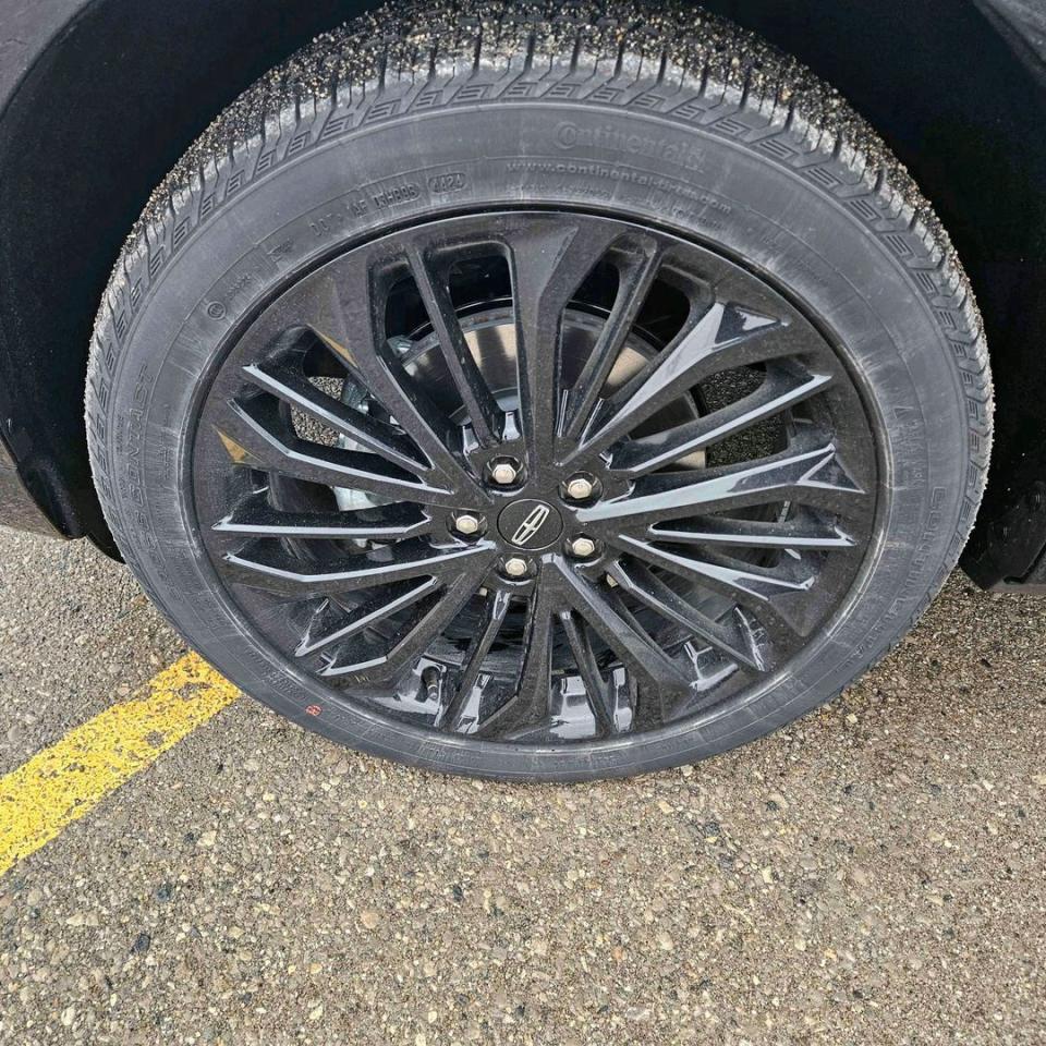 12807955