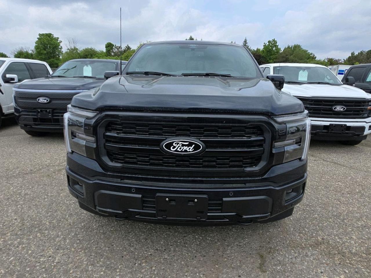 2025 Ford F-150 Lariat Photo