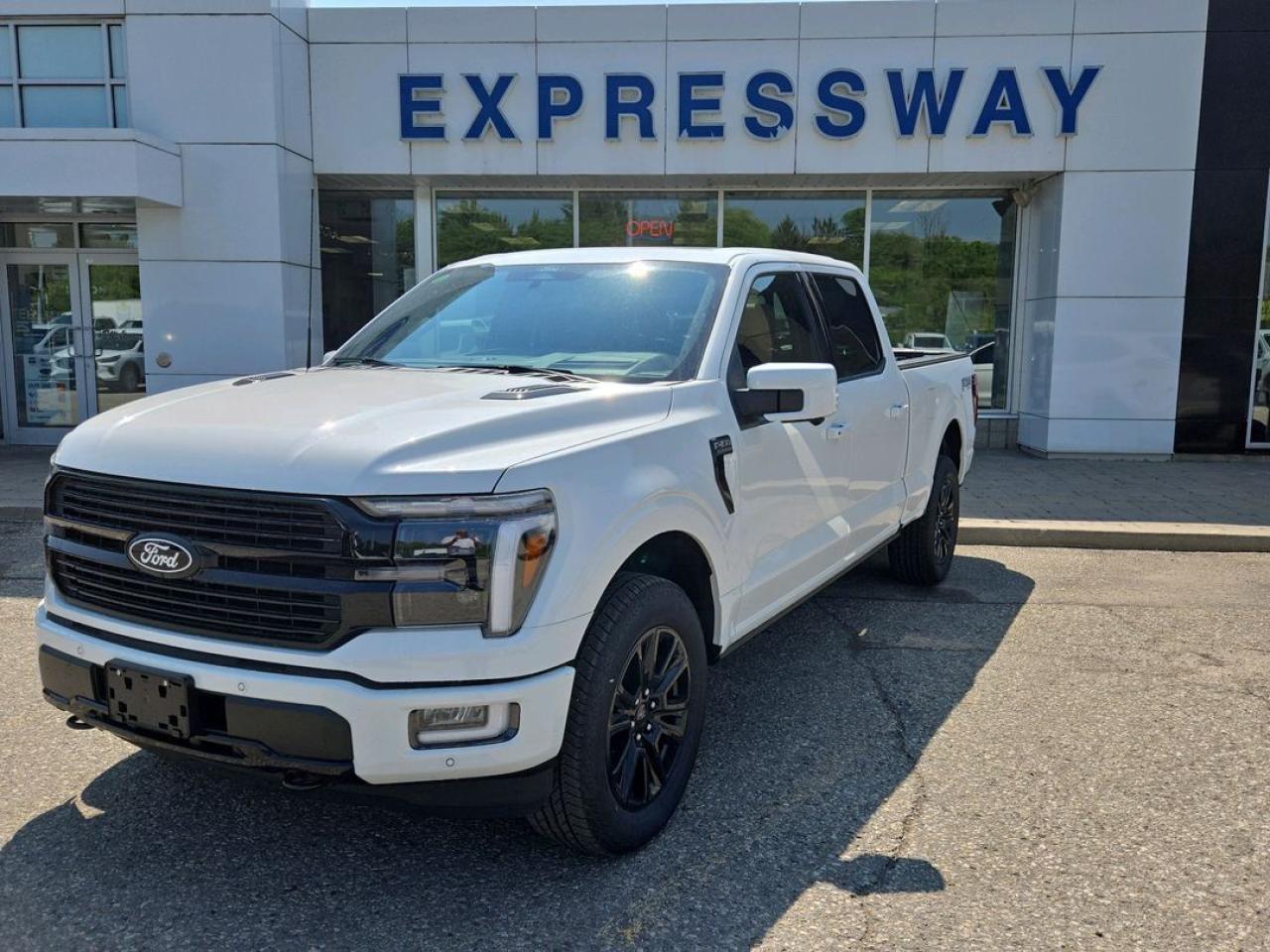 New 2025 Ford F-150 PLATINUM for sale in New Hamburg, ON