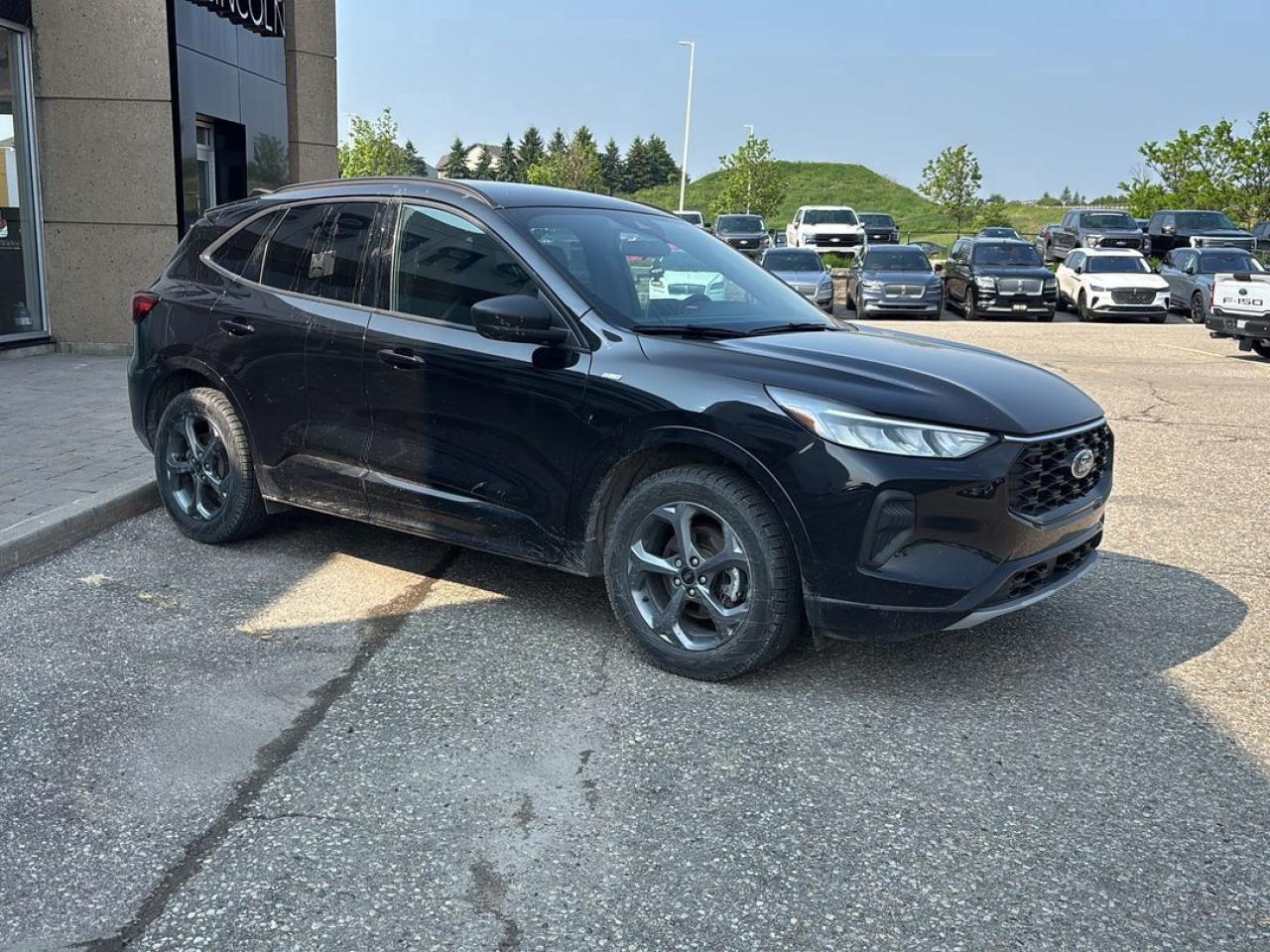 2023 Ford Escape ST-Line Photo