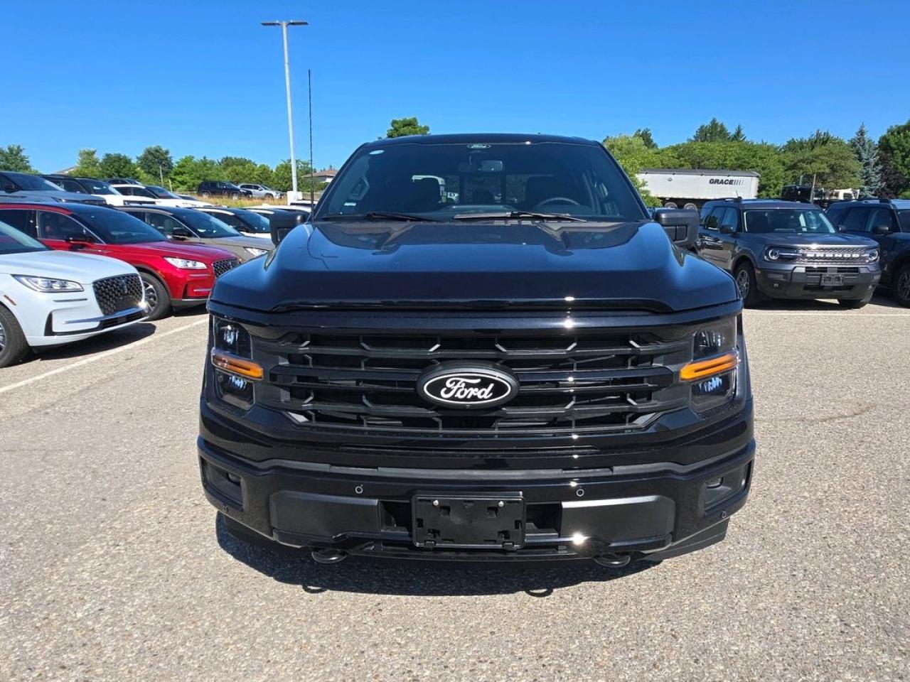 2025 Ford F-150 XLT Photo