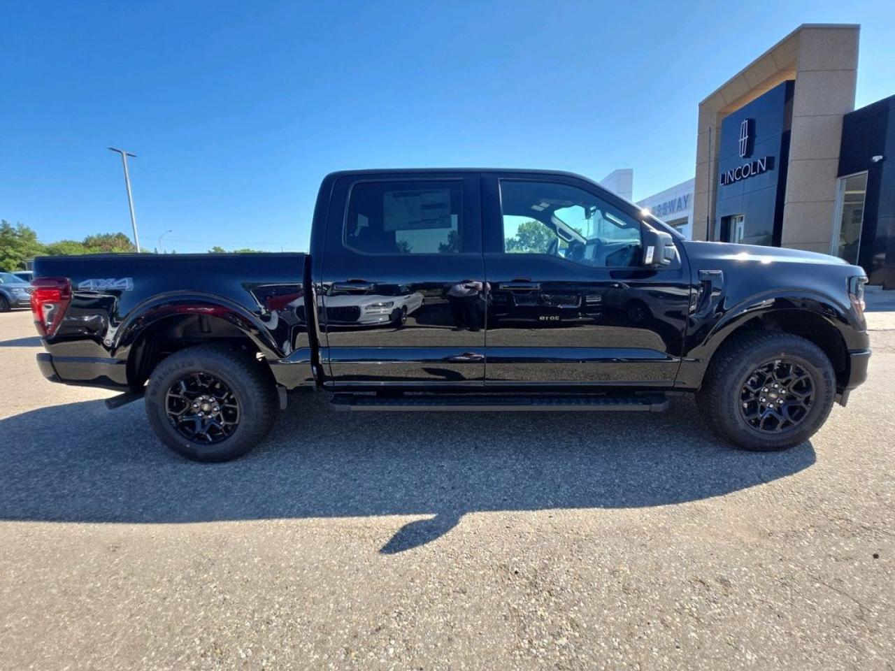 2025 Ford F-150 XLT Photo3