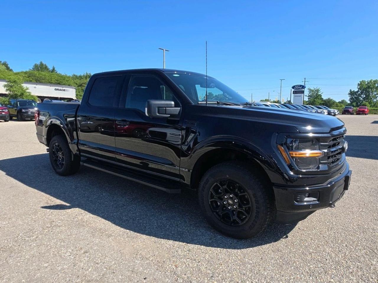 2025 Ford F-150 XLT Photo2