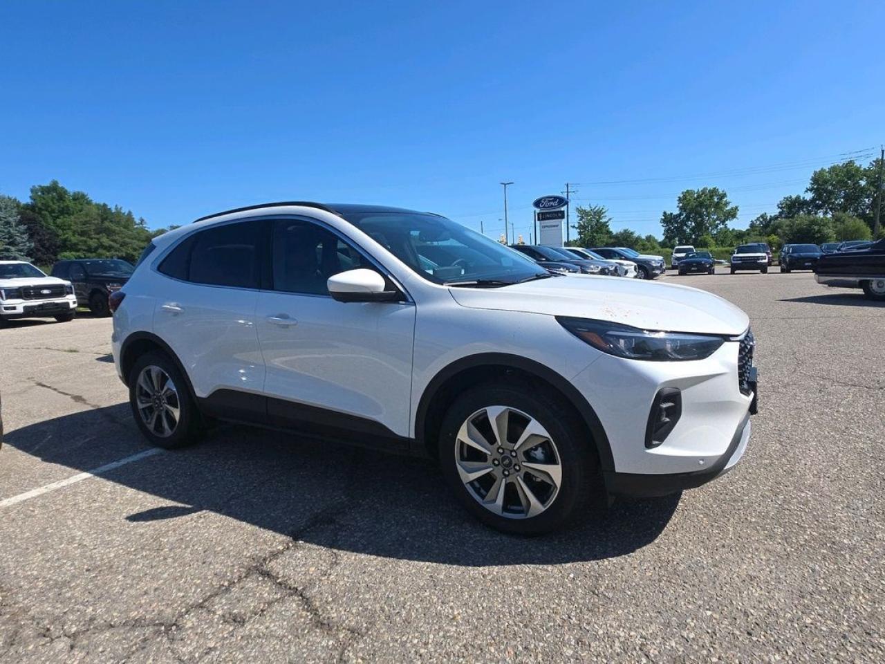 2025 Ford Escape Platinum Photo2
