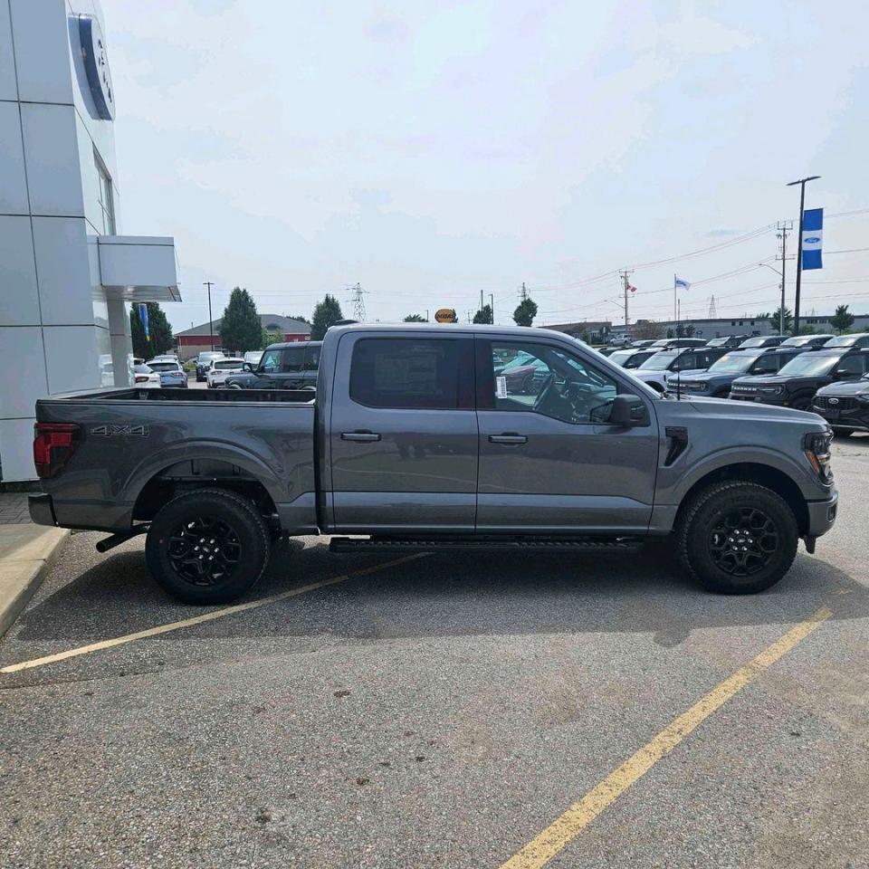 2025 Ford F-150 XLT Photo