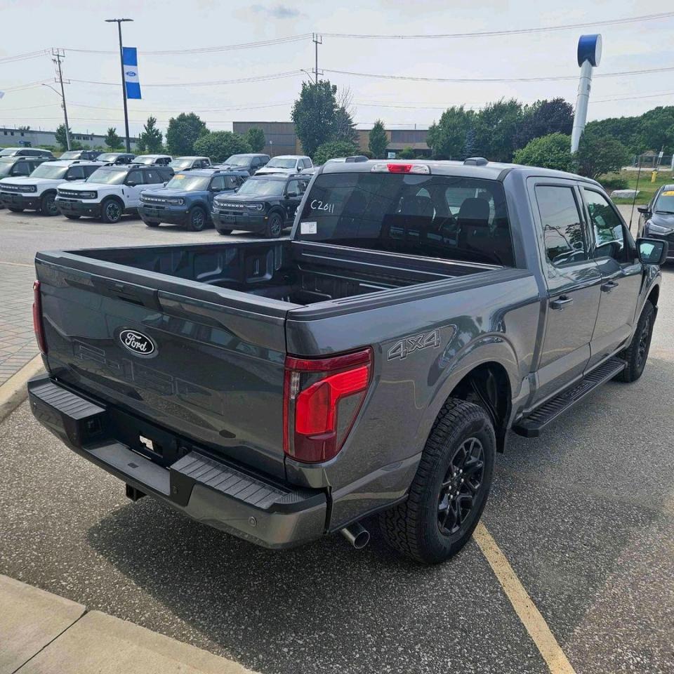 2025 Ford F-150 XLT Photo4