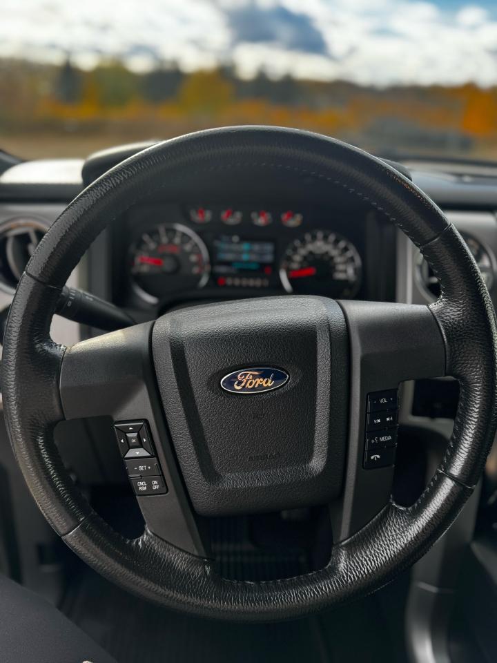 2014 Ford F-150 FX4 Photo5
