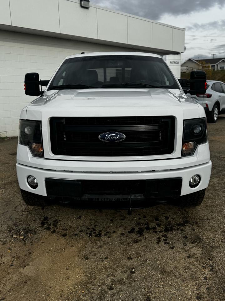 2014 Ford F-150 FX4 Photo