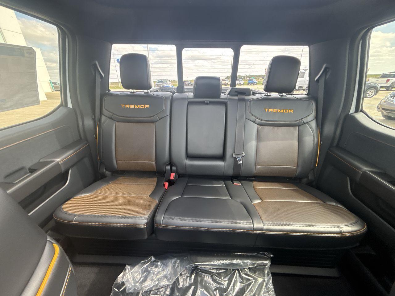 2025 Ford F-150 Tremor 4WD SuperCrew 5.5' Box Photo5