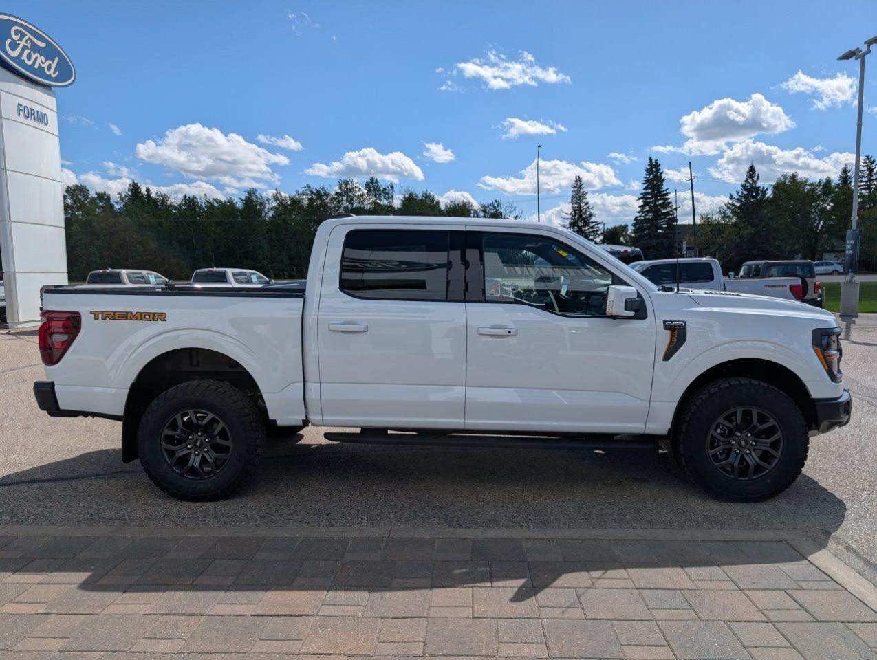2025 Ford F-150 Tremor Photo4