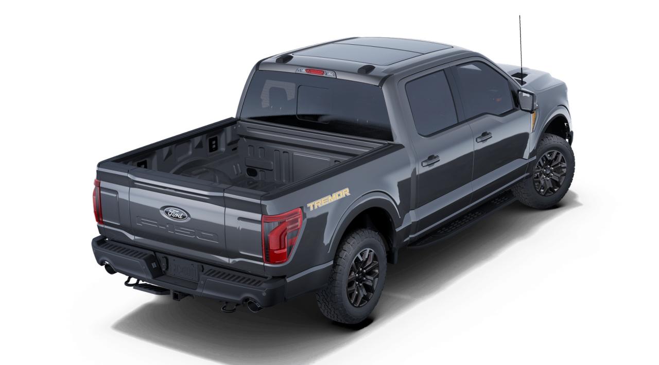 2025 Ford F-150 Tremor Photo2