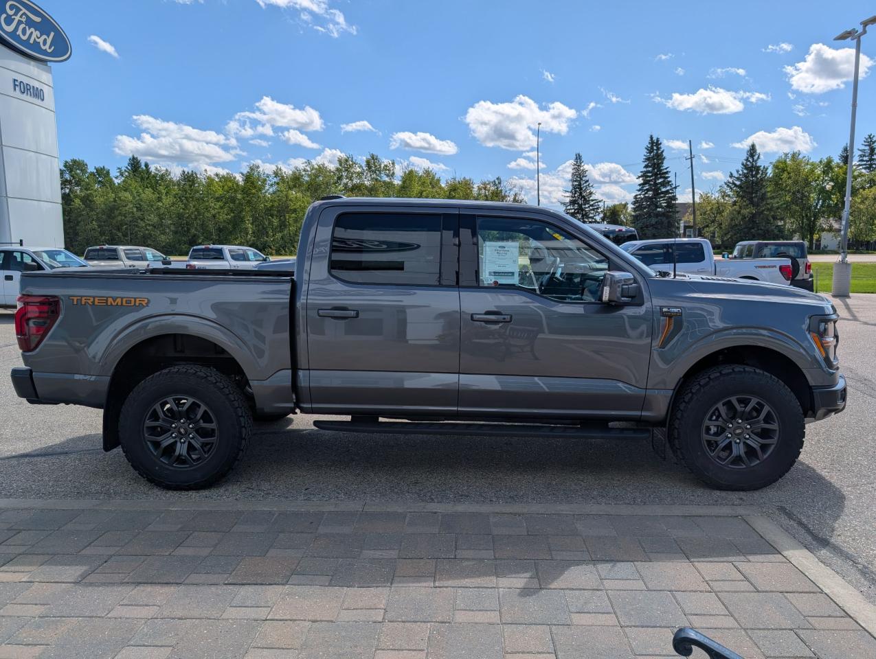 2025 Ford F-150 Tremor Photo4