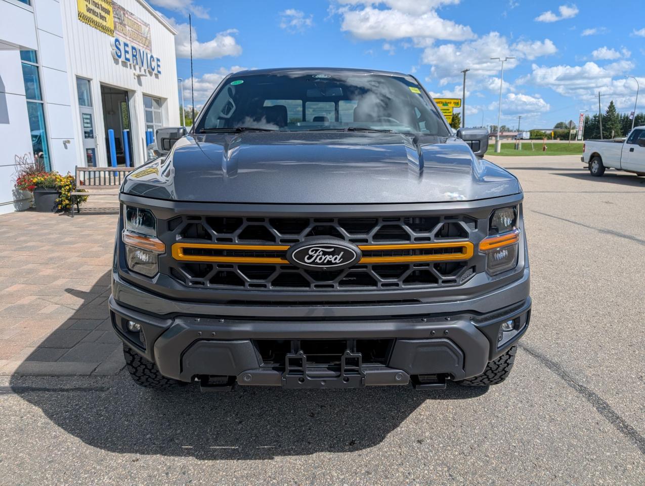 2025 Ford F-150 Tremor Photo2