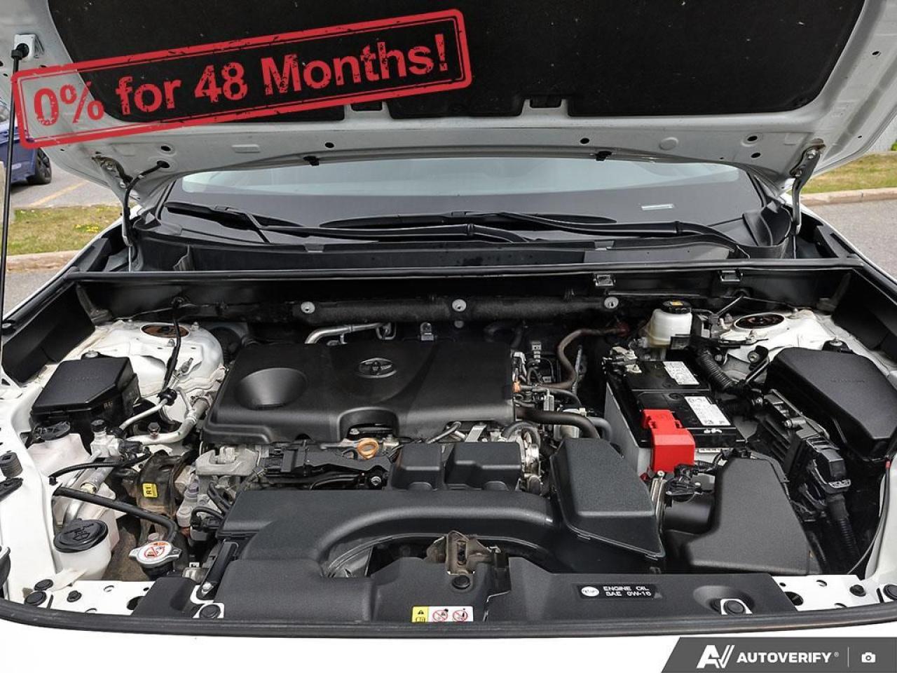 2022 Toyota RAV4 LE Photo