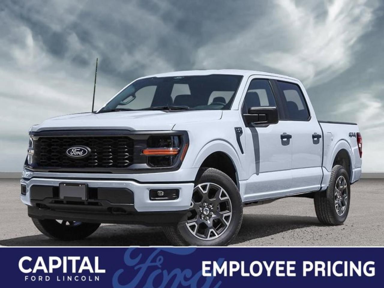 New 2025 Ford F-150 STX for sale in Winnipeg, MB