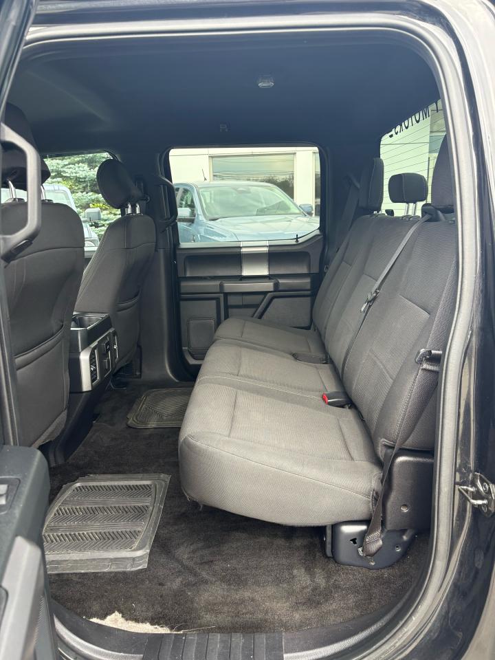 2015 Ford F-150  Photo3