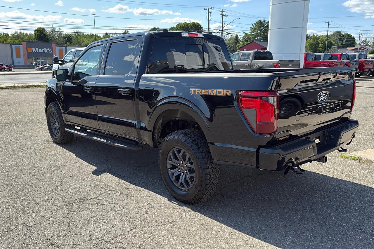 2025 Ford F-150  Photo5