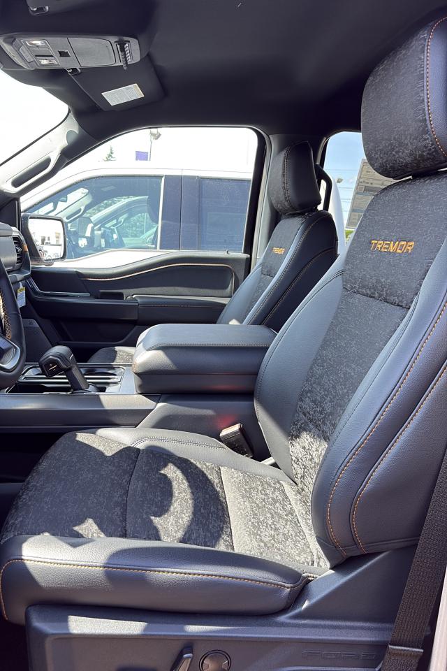 2025 Ford F-150  Photo5