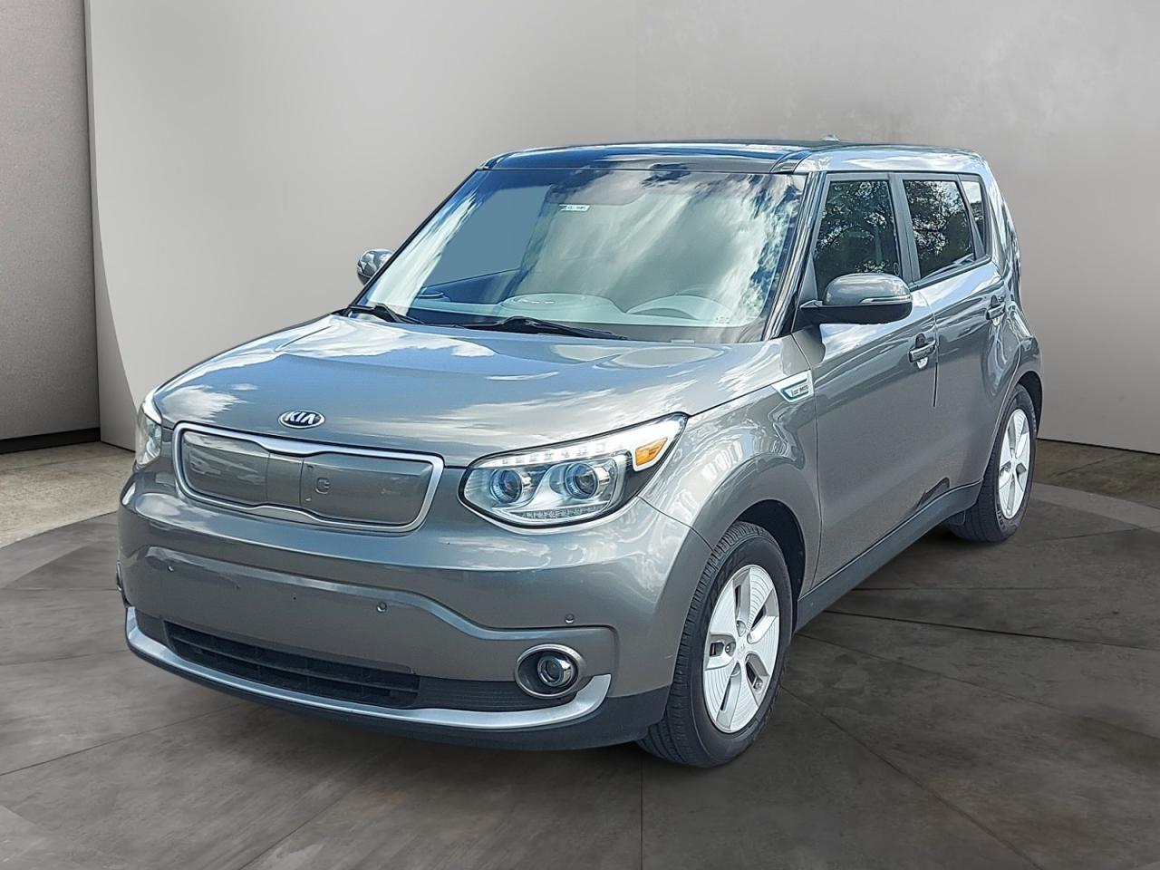 2016 Kia Soul EV Luxury Photo0