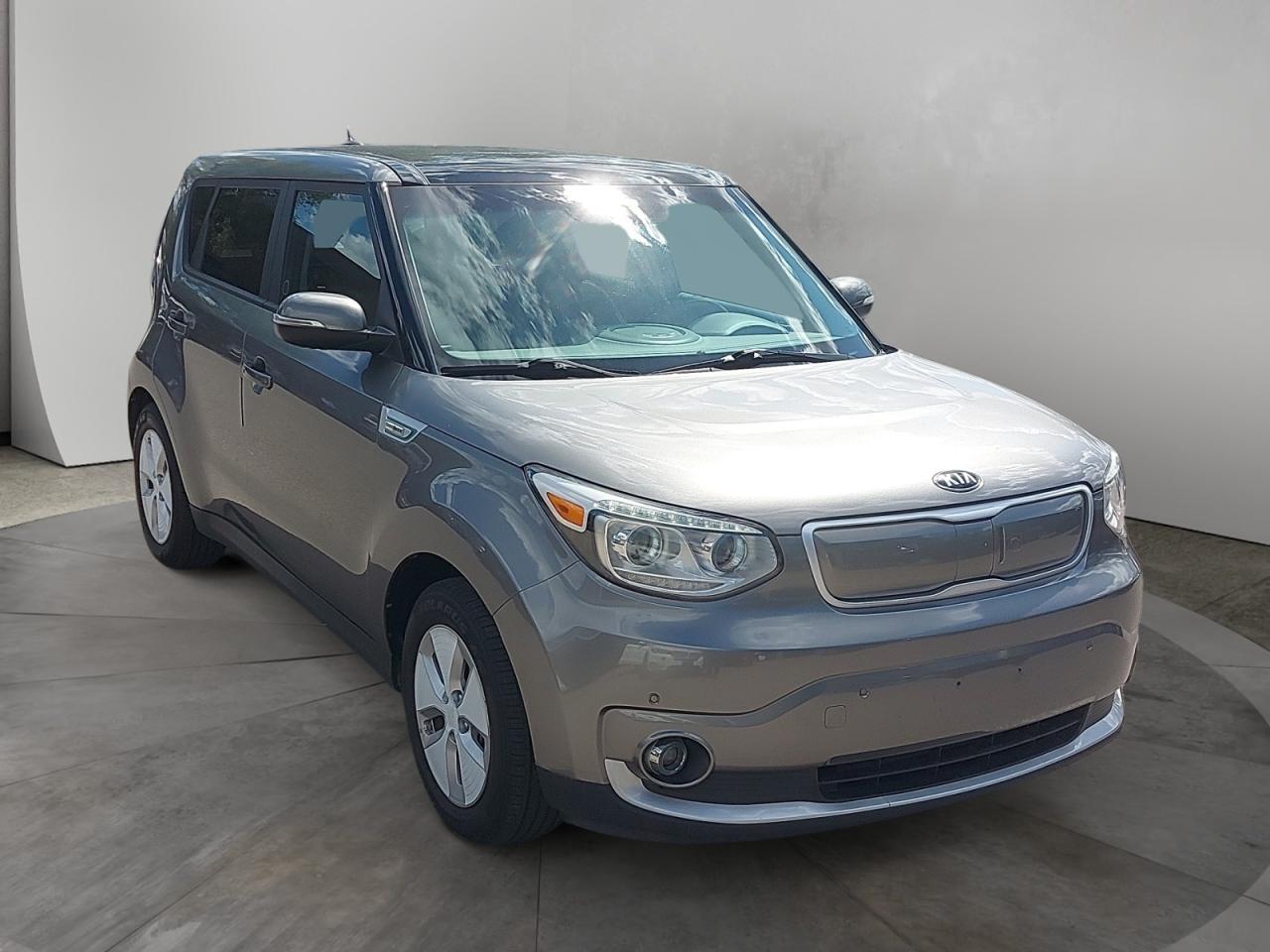 2016 Kia Soul EV Luxury Photo