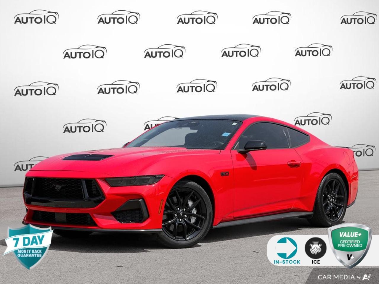 Used 2024 Ford Mustang GT MUSTANG NITE PONY PKG | SPOILER for sale in St Catharines, ON