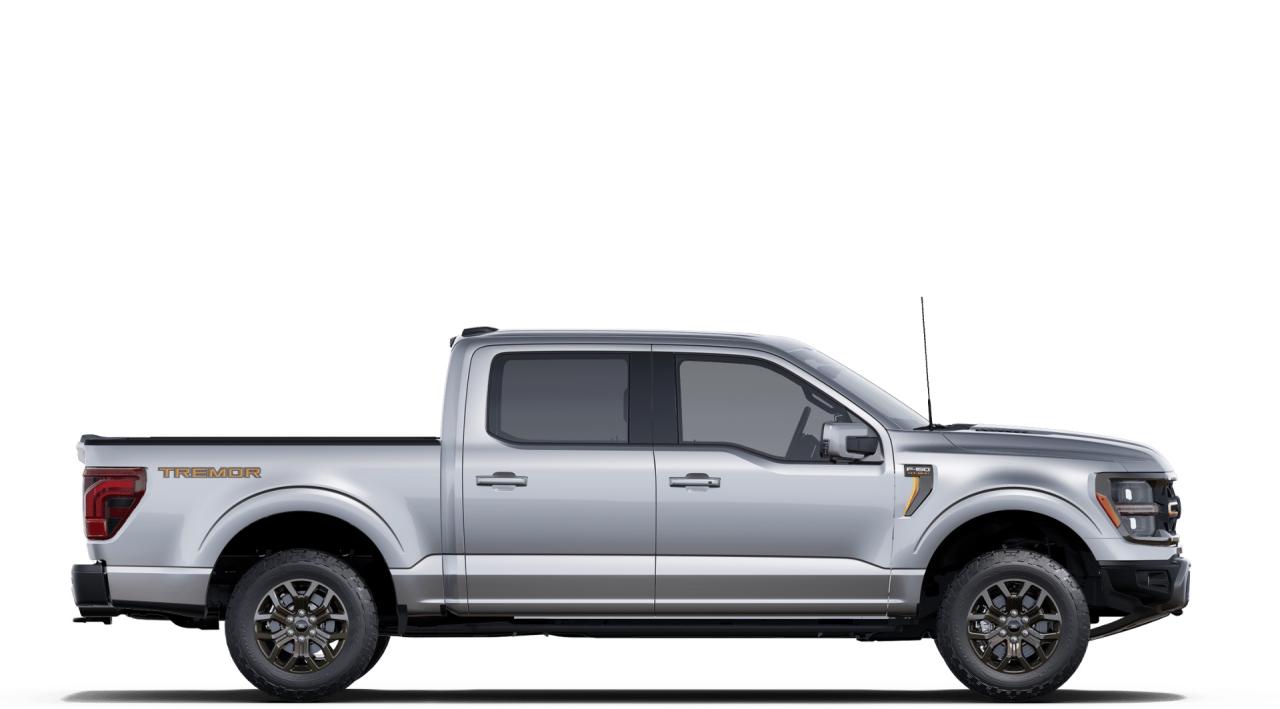 2025 Ford F-150 Tremor 4WD SuperCrew 5.5' Box Photo4