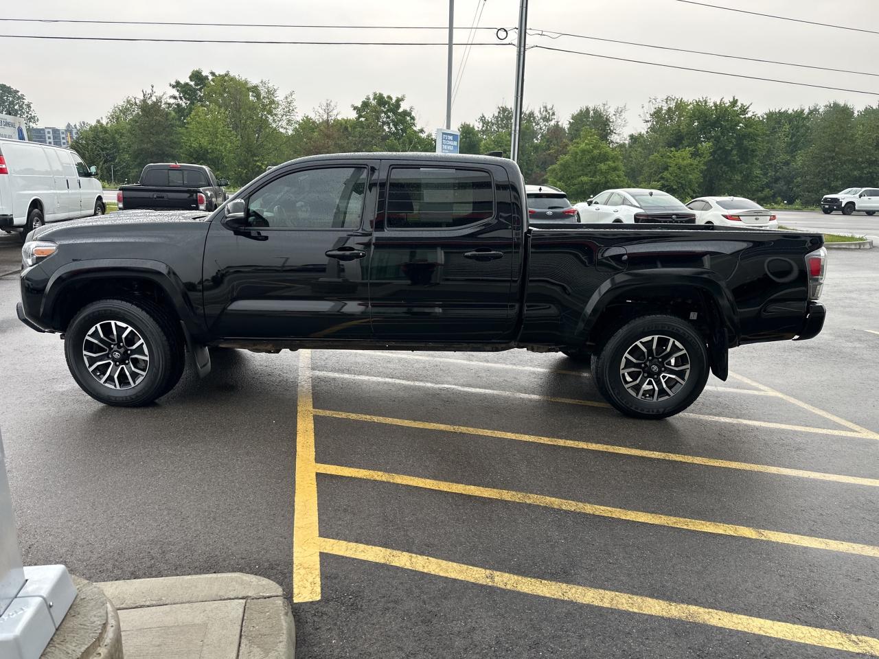2023 Toyota Tacoma Base Photo