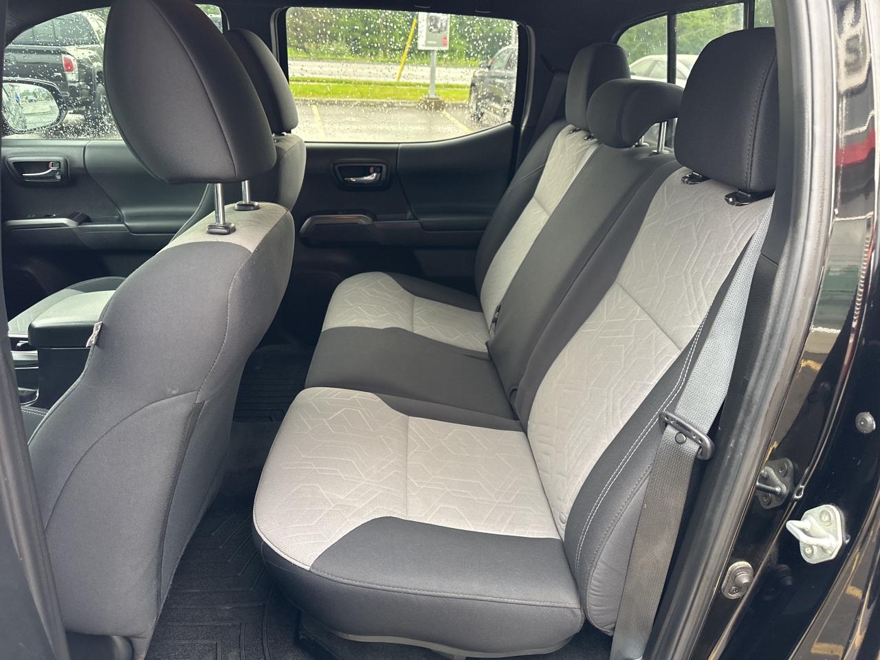 2023 Toyota Tacoma Base Photo