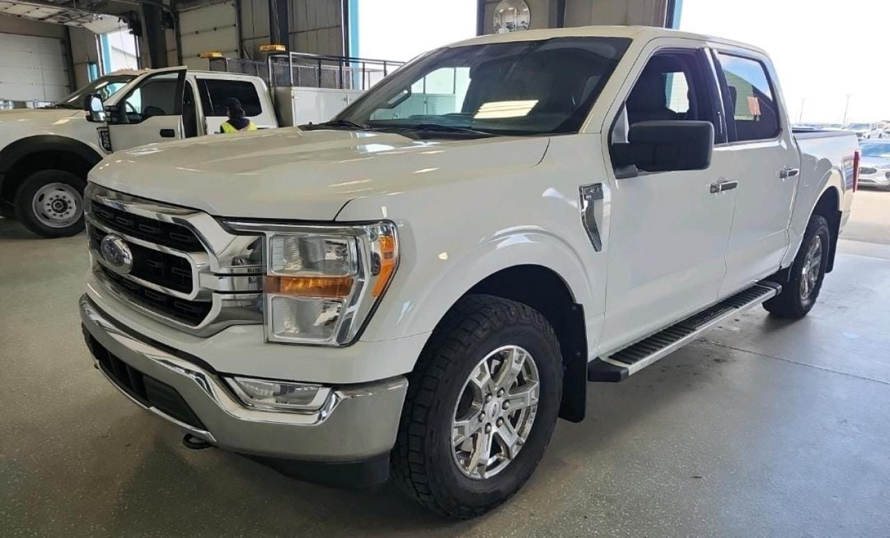 Used 2023 Ford F-150 XLT for sale in Campbell River, BC
