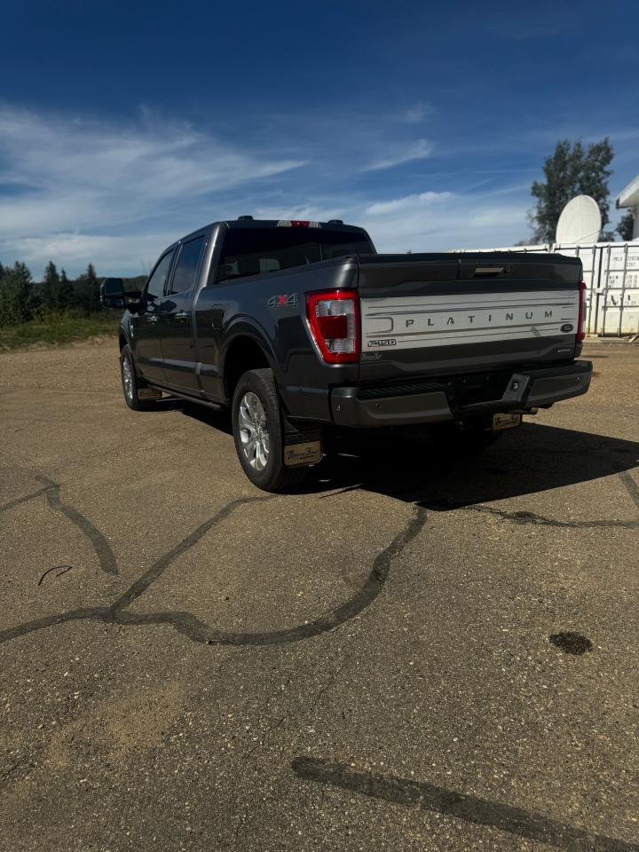 2022 Ford F-150 Platinum Photo