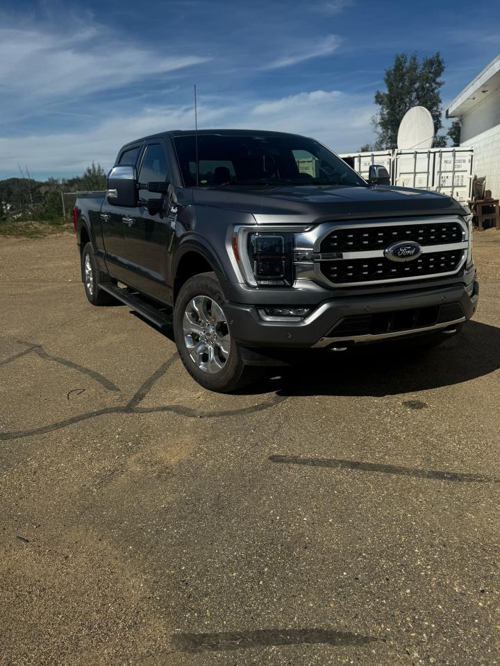 2022 Ford F-150 Platinum Photo
