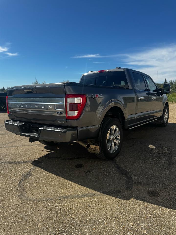 2022 Ford F-150 Platinum Photo