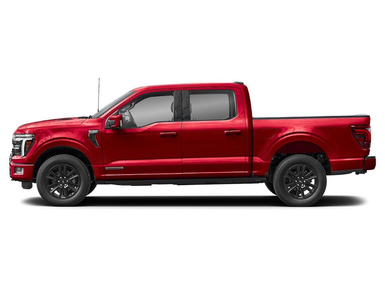 2024 Ford F-150 PLATINUM Photo5