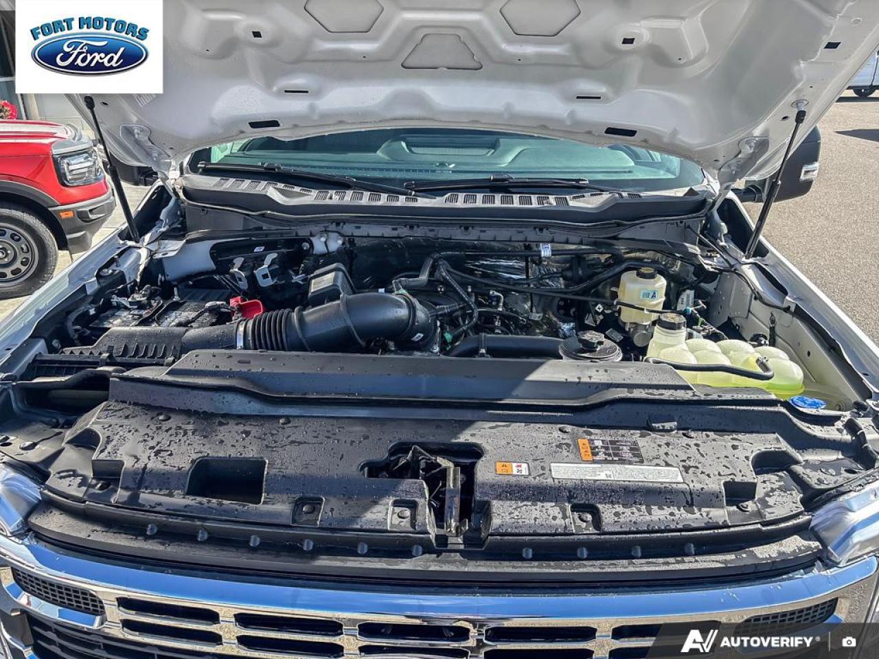 2025 Ford SUPER DUTY F-350 SRW Super Duty SRW XLT Photo5