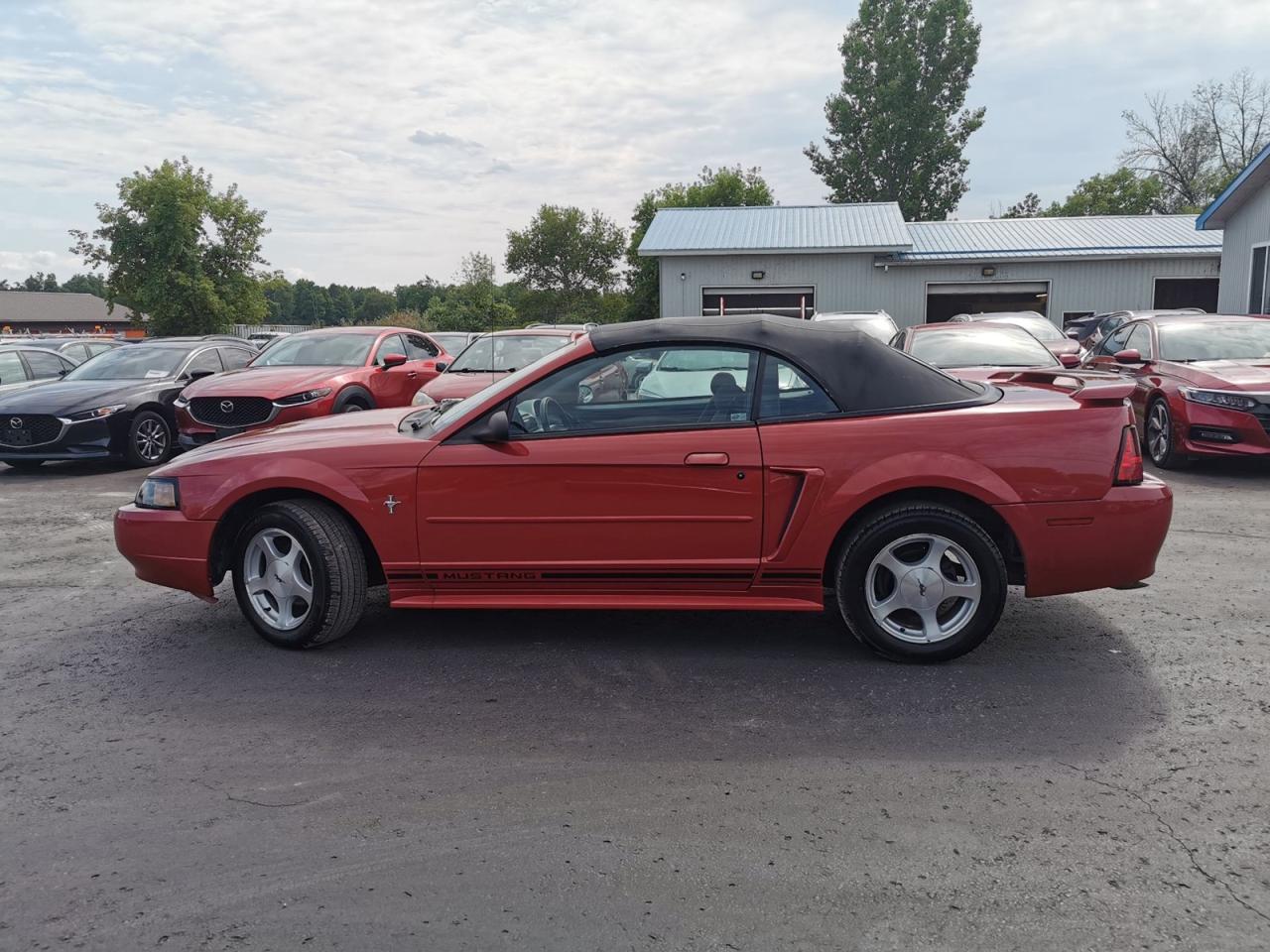 2001 Ford Mustang Deluxe - Photo #2