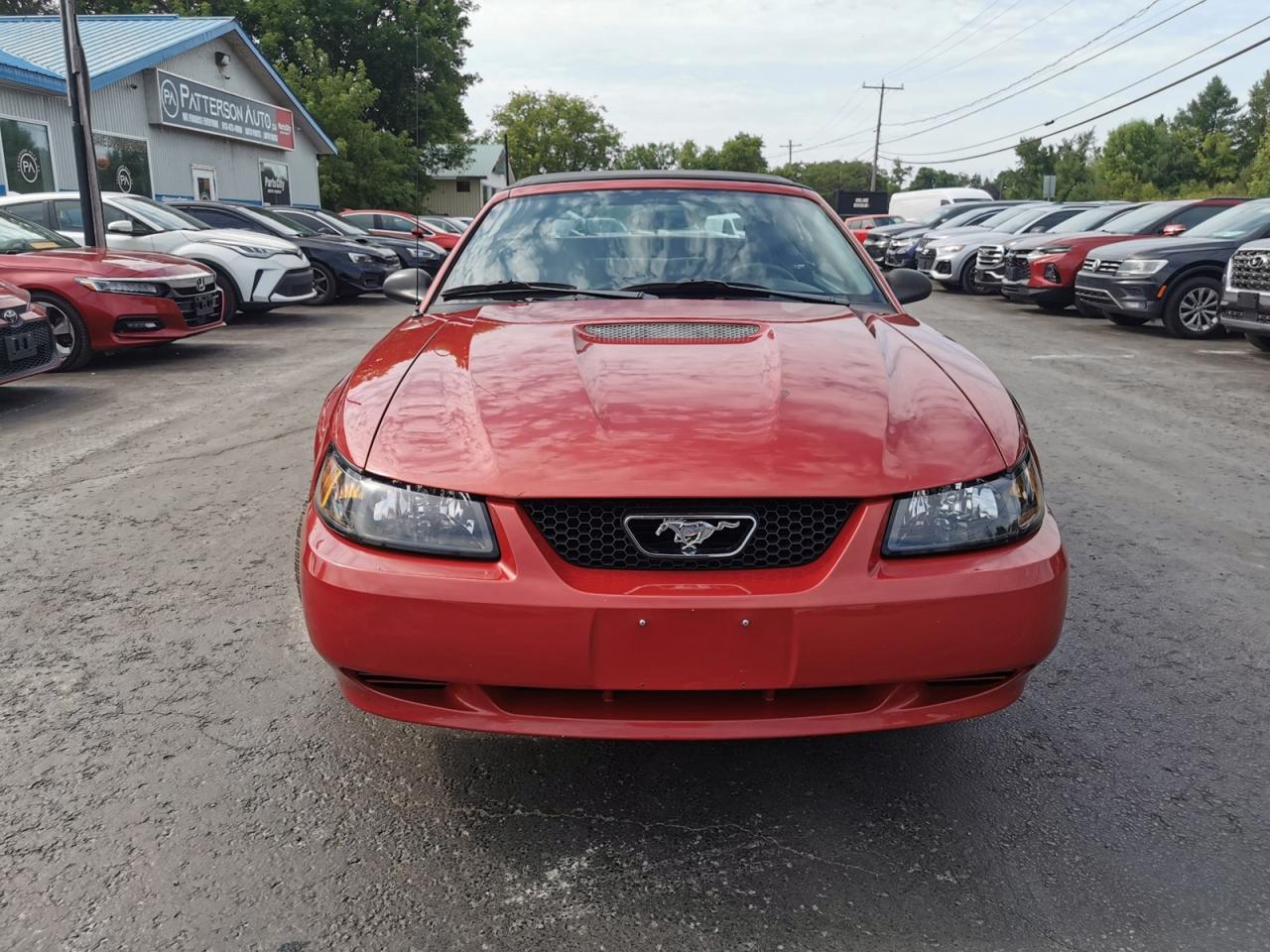 2001 Ford Mustang Deluxe - Photo #8